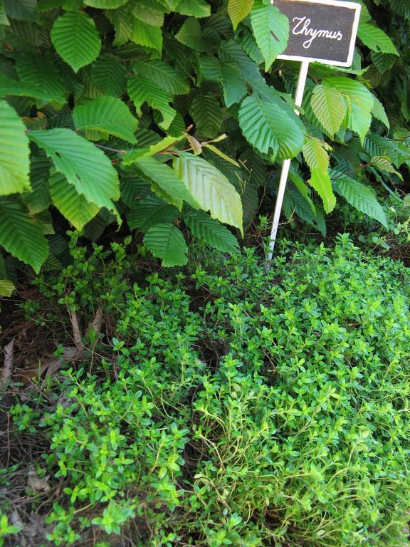 فيلا Jardin De Lieze مالديخيم المظهر الخارجي الصورة