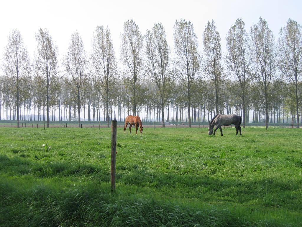 فيلا Jardin De Lieze مالديخيم المظهر الخارجي الصورة